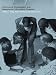 Books : Community Participation and Geographic Information Systems