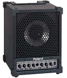 Roland Cube Monitor / PA