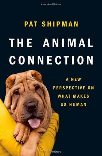 the animal connection a new perspective on what makes us human