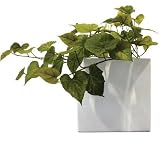 �s���ԁE�ԕr�tF-style vase Sweet Potato leaf�i�X�C�[�g �|�e�g ���[�t�j