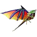 CloudPleasers Nylon Kite: Air Inflated Dragon by X-Kites