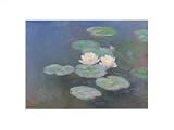Posters: Claude Monet Poster Art Print - Water Lilies Evening Light (16 x 12 inches)
