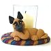 Belgian Malinois Cozy Up Votive