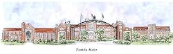 Florida State University - Collegiate Series - 11.5" x 24" Print