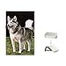 Alaskan Malamute Flip Top Lighter