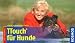 Image of TTouch für Hunde: Für unterwegs