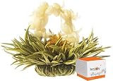 Teaposy Box of Six Lady Fairy Teaposies Blooming Flowering Silver Needled White Tea