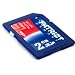Patriot Memory Signature 2 GB Secure Digital Memory Card (PSF2G40SD)