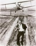 Cary Grant North By Northwest, Movie Poster by Hoch Hollywood Collection