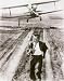 Cary Grant North By Northwest, Movie Poster by Hoch Hollywood Collection Image