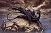 Dark Dsurion Dragon (On Rock) Art Poster Print - 24