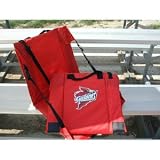 Iowa State Cyclones NCAA Ultimate Stadium Seat