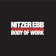 Body of Work