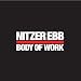 Body of Work