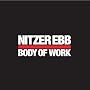 Body of Work