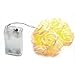 INST 10 LED Battery Operated White Rose Flower Fairy Lights Valentine Lights For Valentine's Day(Warmwhite)