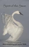 Spirit of the Swan (Nature Connections)