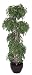 6' Silk Ming Aralia Cascade Artificial Tree