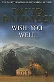 Wish you well