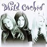 Image of album by Wild Orchid