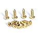BQLZR Golden Guitar Bass Pickguard Screw For Electric Guitar Pack of 50