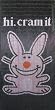 Happy Bunny "Hi Cram It" Beaded Curtain