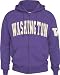 Washington Huskies Vintage Campus Full Zip Fleece Hoodie