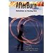 AfterBurn: Reflections on Burning Man (Counterculture)