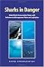Book Sharks in Danger: Global Shark Conservation Status With Reference to Management Plans and Legislation