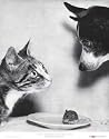 Cat and Mouse, and Dog, 1955, Art Poster by Jytte Bjerregaard Muller