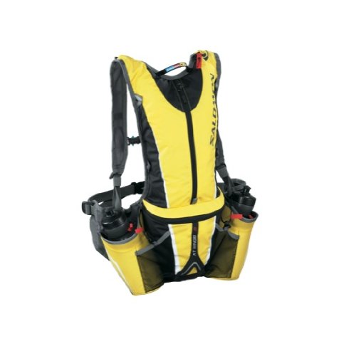 Salomon Twin Belt Bag