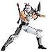Fist of The North Star: Revoltech #018 Shura PVC Figure_s-4