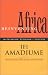 Re-Inventing Africa: Matriarchy, Religion and Culture