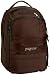 JanSport Air Cure Metro Daypack