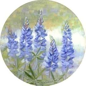 Set of Four Bluebonnets Thirstystone Coasters - Style TS119R by Thirstystone