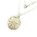 Sterling Silver Aromatherapy Diffuser Locket Pendant Necklace