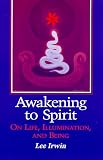 Awakening to Spirit: On Life, Illumination, and Being (Suny Series, Explorations in Contemporary Spirituality)