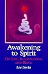 Awakening to Spirit: On Life, Illumination and Being (Suny Series, Explorations in Contemporary Spirituality)