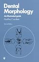 Dental Morphology