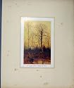 CHRISTMAS NEW YEAR CARDS c1880 VICTORIAN SCRAPBOOK