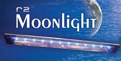 48" R2 Sig Series Aquarium Moonlight