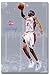 Detroit Pistons Rip Richard Hamilton Nba Poster 4630