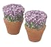 Pfaltzgraff Flower Garden Salt and Pepper Set