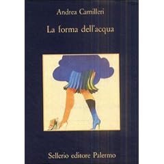 La forma dell'acqua. (Taschenbuch)