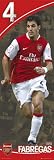 Arsenal- Cesc Fabregas Specialty Prints Door Poster Print, 20x62