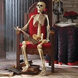 5' Life-size Halloween Skeleton - Halloween Decorations and Decor - Grandin Road