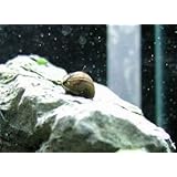 ���i�̏ڍ�