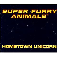 Hometown Unicorn