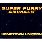 Hometown Unicorn