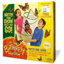 Click here to buy Live Butterfly Pavilion by Insect Lore.